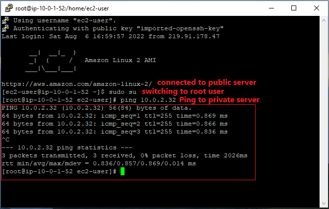 aws-ping-private-server-from-public